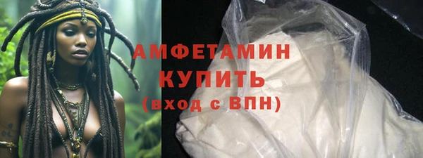 стаф Аркадак